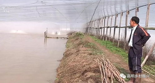 水产养殖防寒策略与畜牧渔业饲料销售调整指南