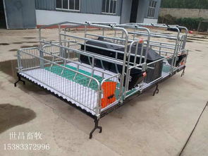 优质双体母猪产床 提升养猪场管理效率的通用解决方案