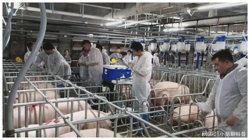 273.32亿元，增长5.4% 畜牧渔业饲料销售稳健增长的动力与展望