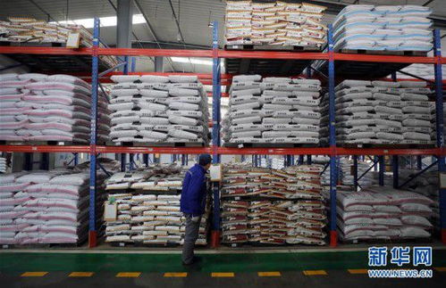 沈阳 加紧复工生产 保障饲料和畜牧产品供应