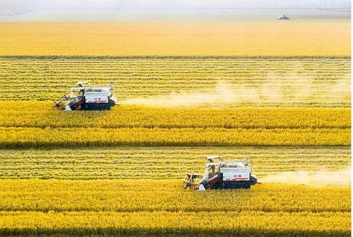 麻城市2022年GDP分析 与百强县的距离及农牧饲料产业发展